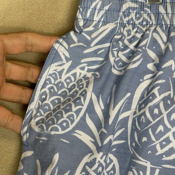 Chubbies‎ Swim Trunk Mens XXL Blue Pineapple Print Lined Drawstring Waist 5.5" - Picture 9 of 14